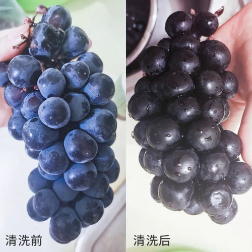 非常时期不要慌，做好这7道防护——非离子表面活性剂的安全应用指南