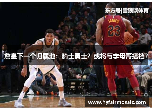 詹皇下一个归属地：骑士勇士？或将与字母哥搭档？